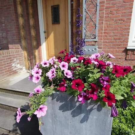 Villa Beeklust Villa